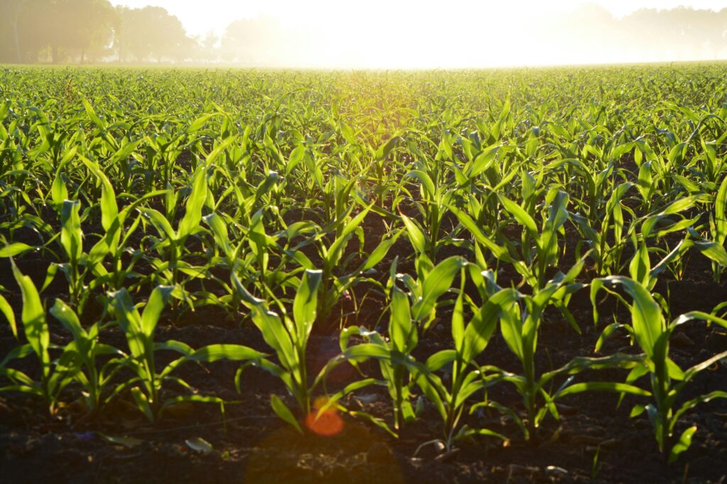 agri farm of india